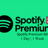 Spotify Premium Mini